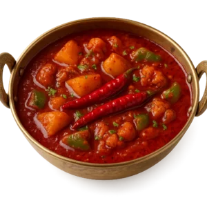 VEGETABLE VINDALOO V